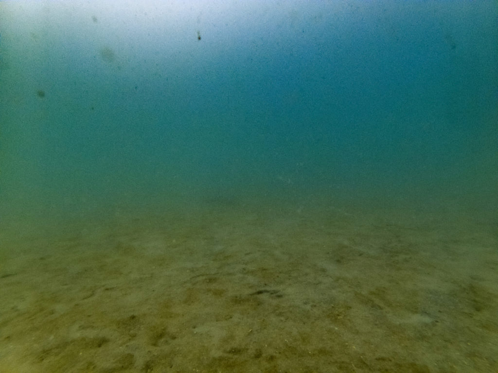 Barren sea floor