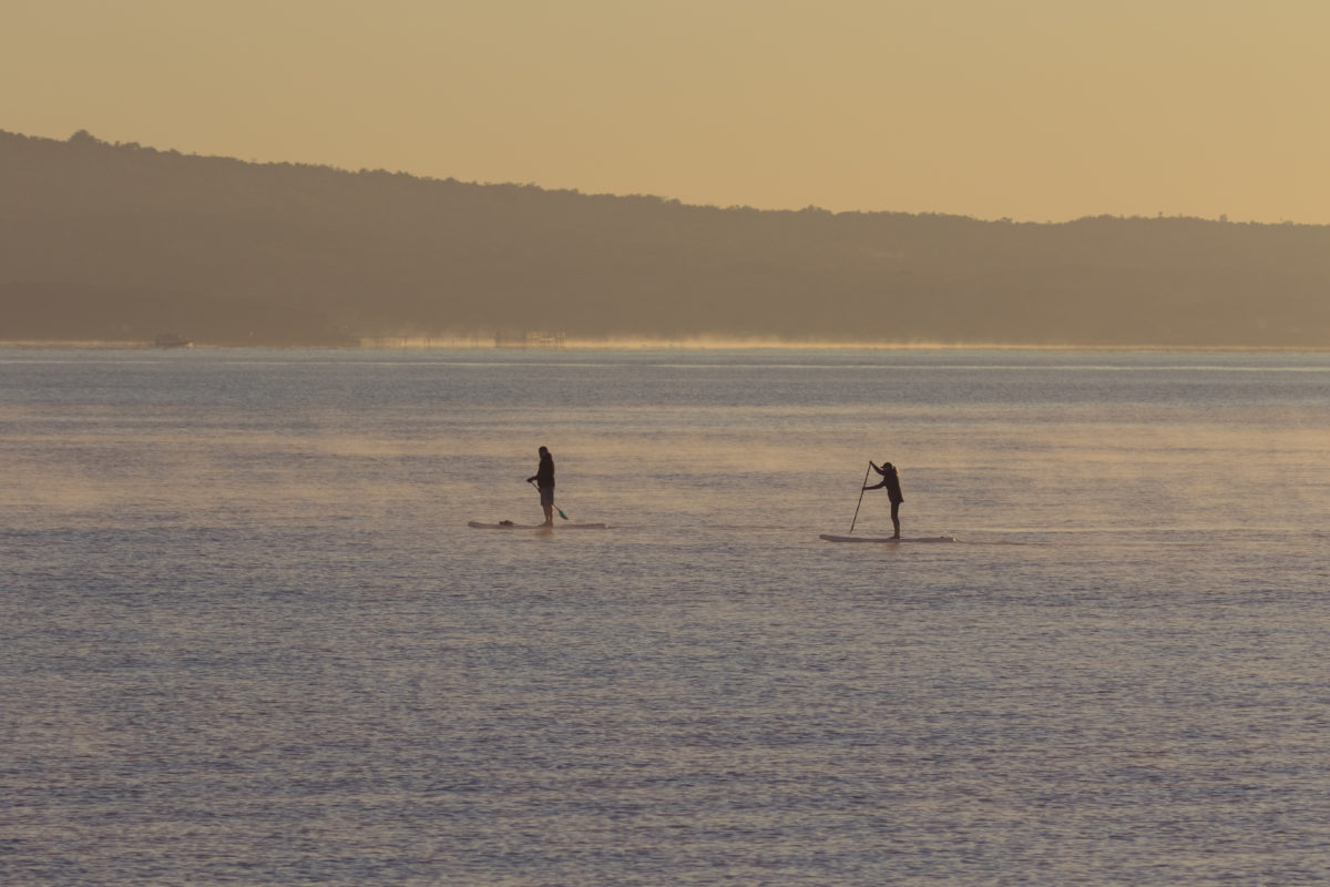 Paddleboarders with Rangitoto